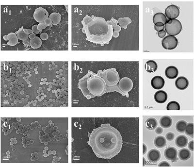 The Preparation of Hollow Mesoporous Bioglass Nanoparticles With Excellent Drug Delivery Capacity for Bone Tissue Regeneration